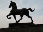  statue de cheval, place Carli